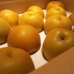 まだ早いですが、本日は完売となりました。